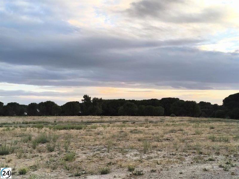 Vecinos de Pinar de Jalón afirman que la falta de limpieza provoca incendios recurrentes en su barrio.