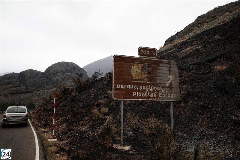 CyL dará luz verde mañana a la normativa sobre gestión forestal en los montes.