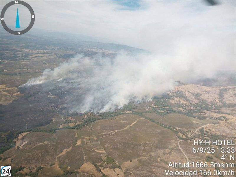 El incendio de Castromil (Zamora) se clasifica ahora como de gravedad 1.