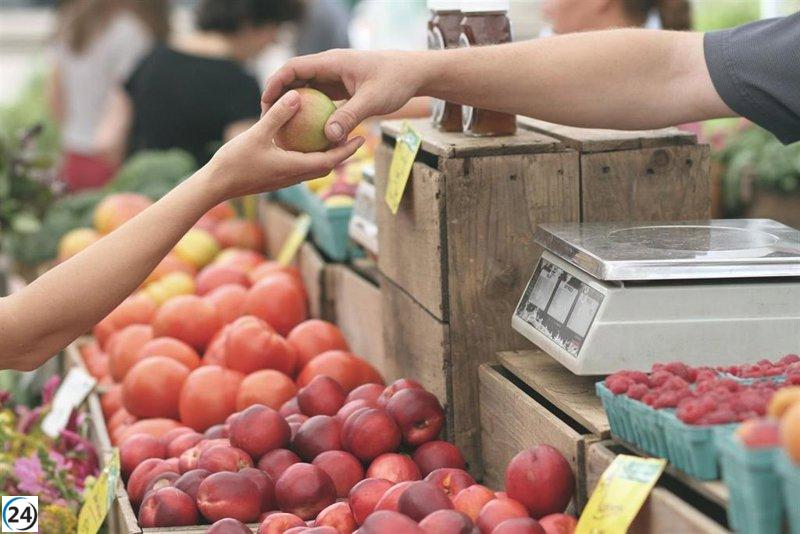 CyL permite aperturas en festivos para prevenir cierres prolongados.