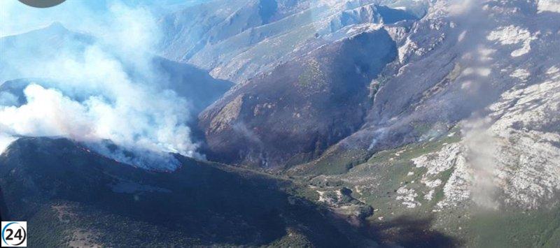 CLM y CyL establecen un mando conjunto para combatir incendios en Guadalajara y Segovia.