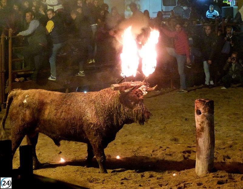 PACMA pide la destitución del juez encargado del caso del Toro Júbilo en el Supremo.