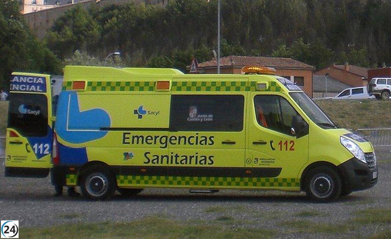 Accidente en la A-1: vehículo y autobús impactan contra caballos en Santo Tomé del Puerto.