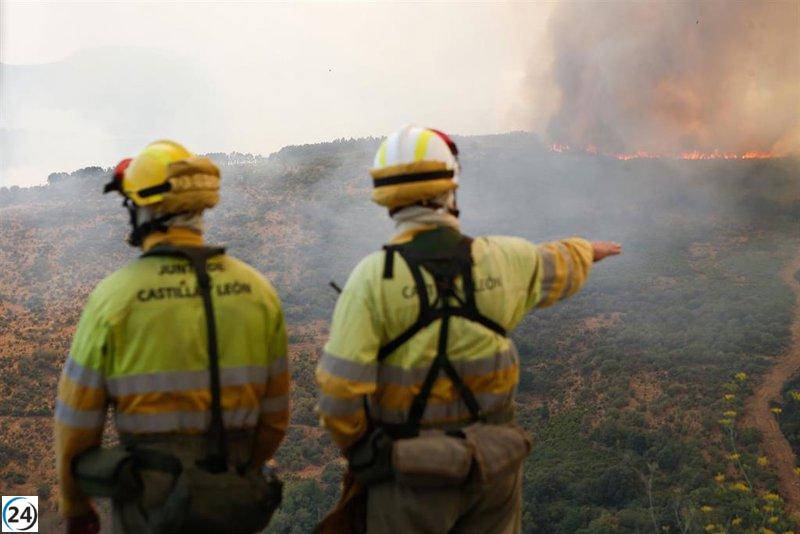 Asemfo critica a Mañueco por modificar la estrategia de prevención de incendios sin dialogar con los interesados.