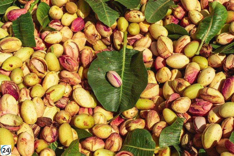Condena de hasta dos años por fraude en venta de 16.000 kilos de pistachos.
