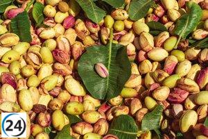 Condena de hasta dos años por fraude en venta de 16.000 kilos de pistachos.
