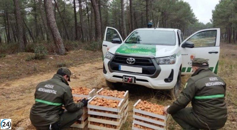 Apamcyl denuncia escasez de personal jurídico en Servicios de Medio Ambiente.