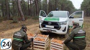 Apamcyl denuncia escasez de personal jurídico en Servicios de Medio Ambiente.