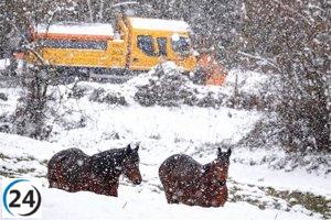 Carretera en CyL cerrada por nieve; ocho más requieren cadenas para transitar.
