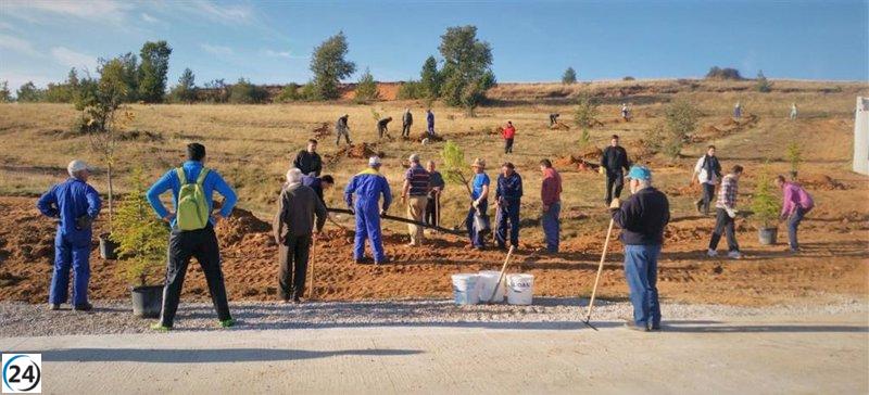 Palencia destina 210.000 euros para fomentar el voluntariado en iniciativas ambientales.