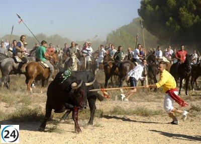 Se amolda la normativa del 'Toro de la Vega' de Tordesillas para autorizarlo sin matar al animal