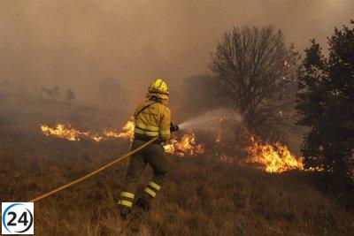 La Junta da por controlado el incendio en la Sierra de la Culebra de Zamora