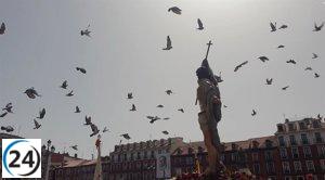 El multitudinario encuentro entre Jesús Resucitado y su Madre atrae a miles de fieles en la Plaza Mayor de Valladolid.