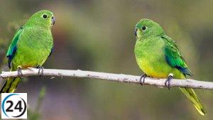 El Centro de Recuperación de Aves de Valladolid recibe inscripciones para voluntariado ambiental.