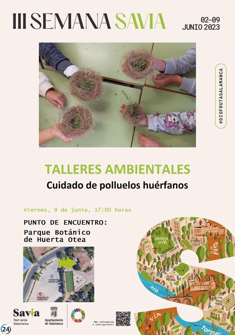 Taller en Salamanca enseñará a cuidar polluelos huérfanos.