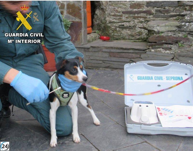 Investigan a hombre por arrojar tres cachorros vivos al contenedor.