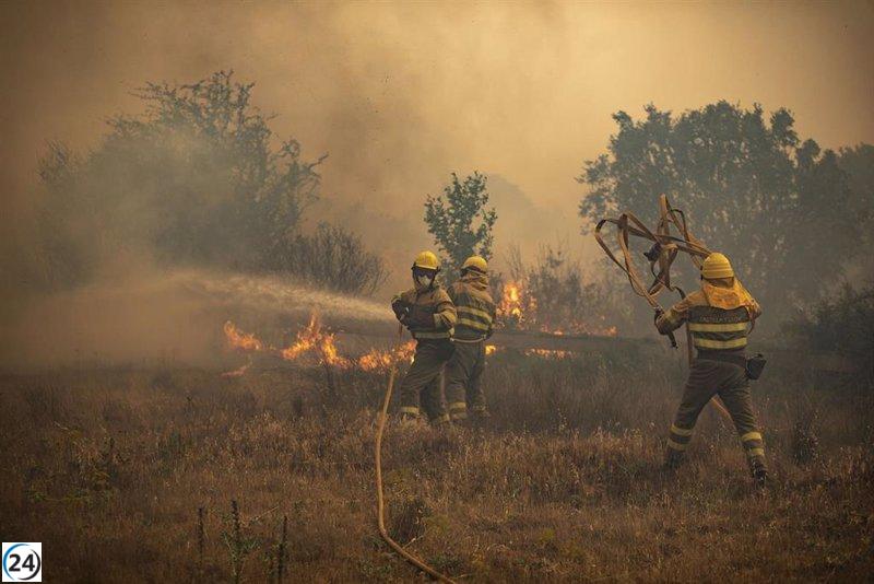 Millonaria compensación de 475.000 euros para solo 16 propietarios afectados por los incendios forestales