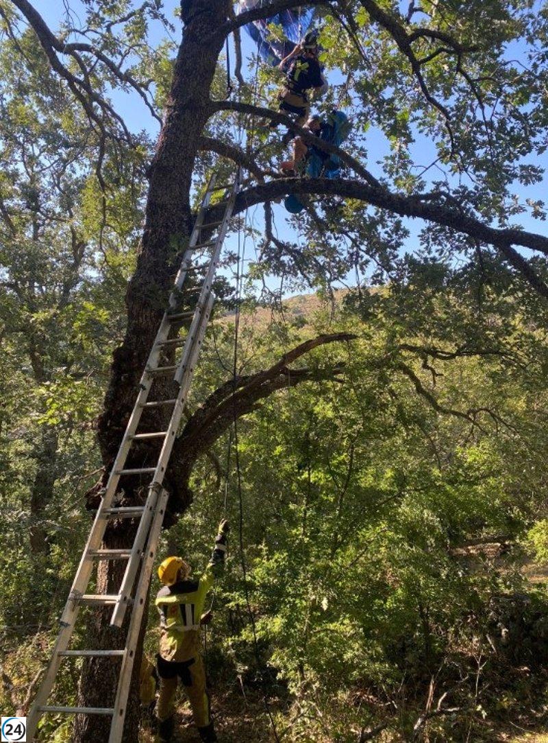 Parapentista rescatado de árbol en Casas del Puerto (Ávila)