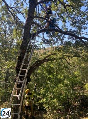 Parapentista rescatado de árbol en Casas del Puerto (Ávila)