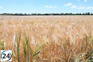 Millonaria financiación de cooperación para asegurar la continuidad de las explotaciones agrarias