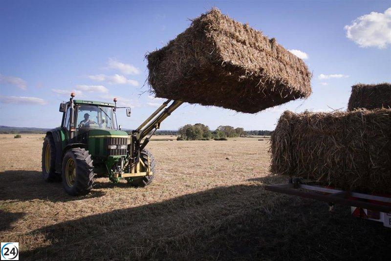 La agricultura pierde 17,3% de contratos en CyL, generando 21.400 menos