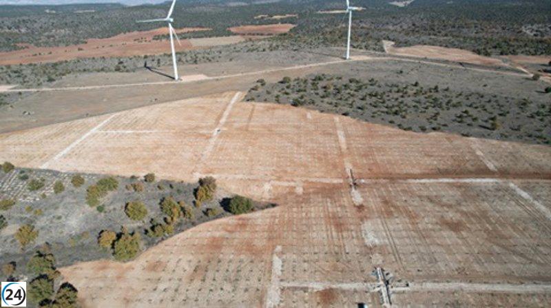 La Junta impulsa el cultivo de trufas en CyL con más de 500 hectáreas.
