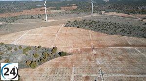 La Junta impulsa el cultivo de trufas en CyL con más de 500 hectáreas.