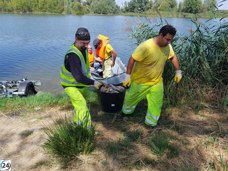 Altos niveles de pH y temperatura originan mortandad de peces en el río Duero en Villaralbo (Zamora)