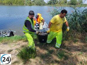Altos niveles de pH y temperatura originan mortandad de peces en el río Duero en Villaralbo (Zamora)