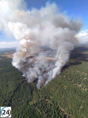 Dos brigadistas heridos en un nivel 2 de incendio en La Ercina (León)