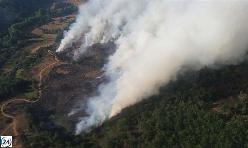 El incendio en San Bartolomé (León) afecta a 260 hectáreas, según datos de la Junta.