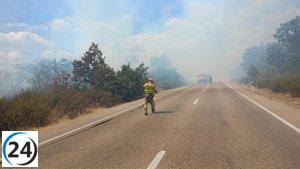 Colilla mal apagada origina incendio forestal y cierre de carretera N-122.