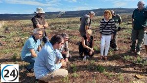 La Junta destinará 50 millones a la recuperación de la Sierra de la Culebra en los próximos diez años.