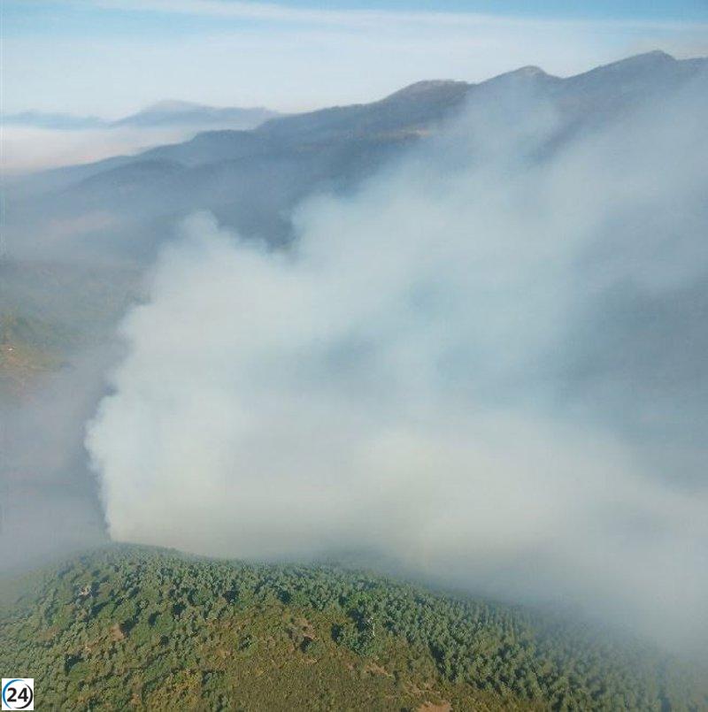 Incendio forestal en el Parque de la Montaña de Riaño y Mampodre, en León, alcanza el nivel 1