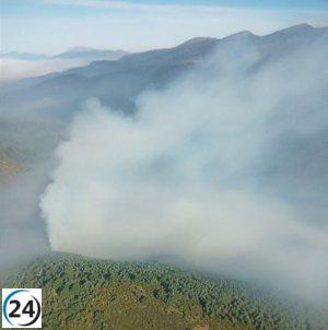 Incendio forestal en el Parque de la Montaña de Riaño y Mampodre, en León, alcanza el nivel 1