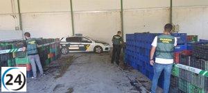 Incautan 19.600 kilos de uva extranjera de Medina con rumbo a la DO Valdeorras.