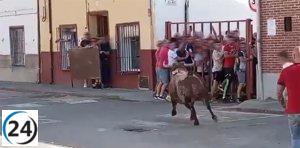 Violentos incidentes marcan la fiesta de la vendimia de Rueda (Valladolid) con un hombre herido por la furia de un toro.