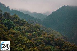 La Junta emite informe de bajo peligro de incendios forestales tras variaciones en el clima.