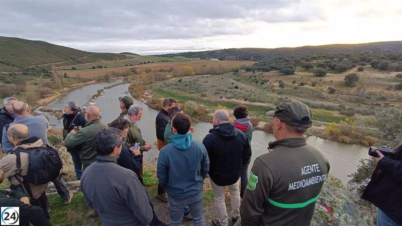 La Junta considera reintroducir el lince ibérico en Zamora y Palencia en áreas de los Cañones del Duero y en el Cerrato