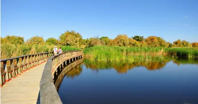 Sumérgete en la bellísima naturaleza del Parque Nacional de las Tablas de Daimiel