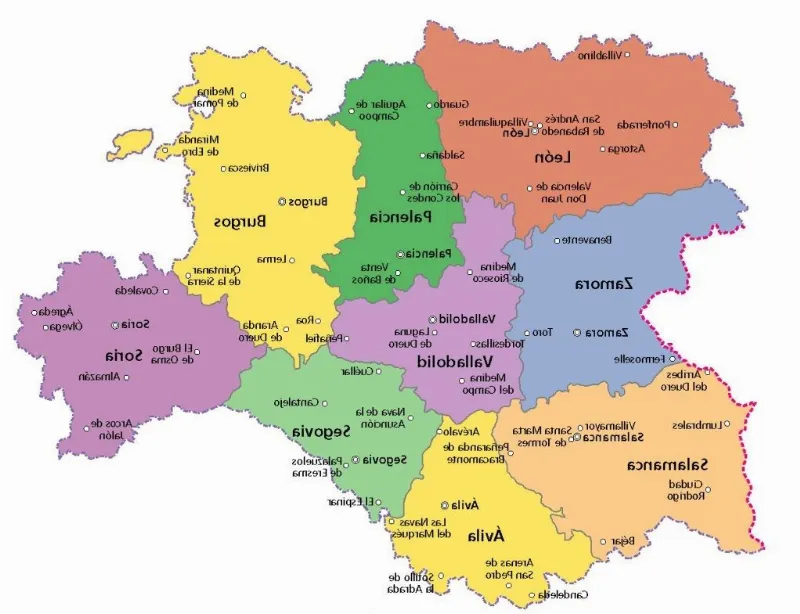 ¿Cuáles son las principales políticas económicas que se aplican en Castilla y León?