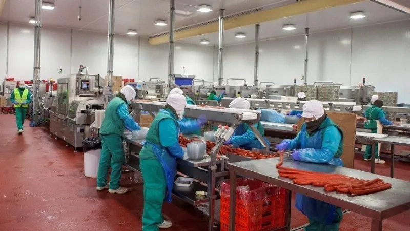 El sector cárnico y lácteo en Castilla y León: una industria en auge
