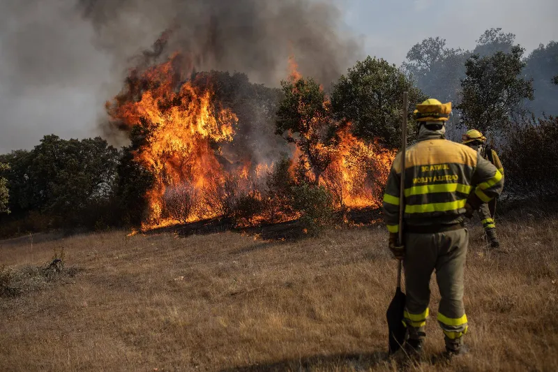 Incendios forestales se propagan por toda Castilla y León