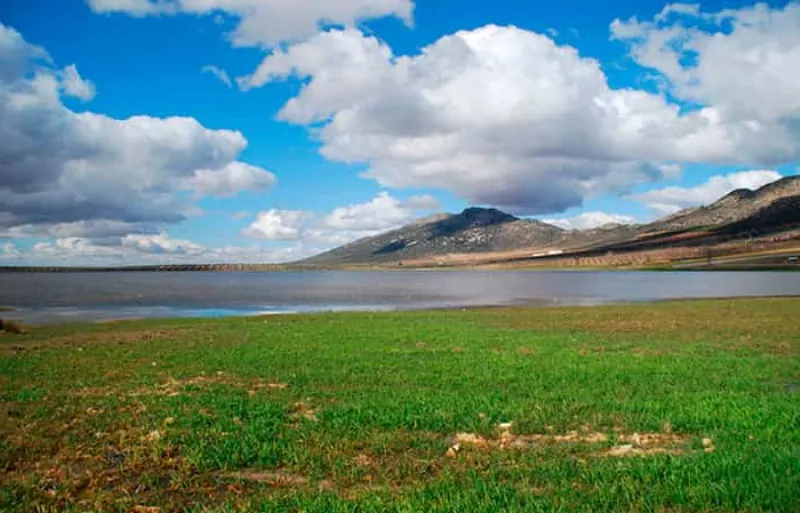 La reserva natural de la Laguna de la Nava, lugar de interés para el avistamiento de aves