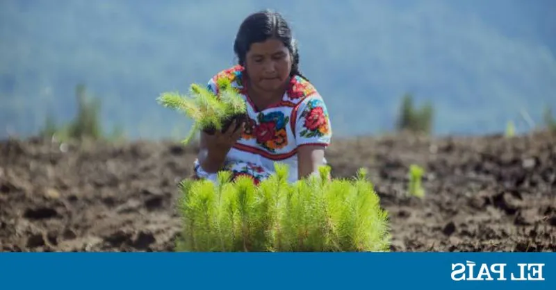 Los agricultores de la región adoptan técnicas sostenibles de cultivo