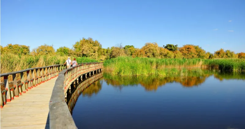 Sumérgete en la bellísima naturaleza del Parque Nacional de las Tablas de Daimiel